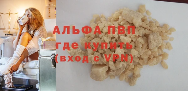 прущие грибы Балахна