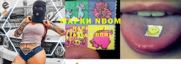 прущие грибы Балахна