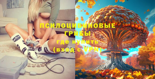 прущие грибы Балахна