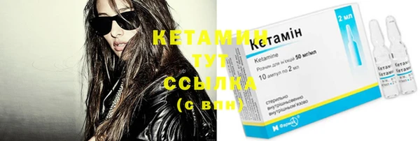 крисы Баксан