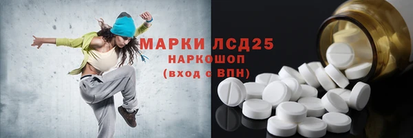 прущие грибы Балахна