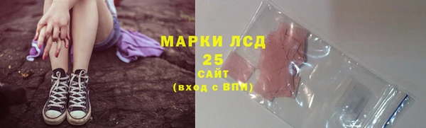 прущие грибы Балахна