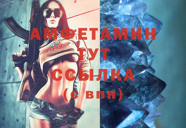 прущие грибы Балахна