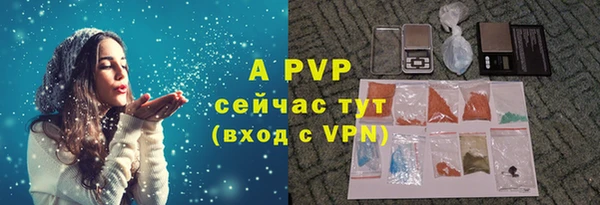 крисы Баксан
