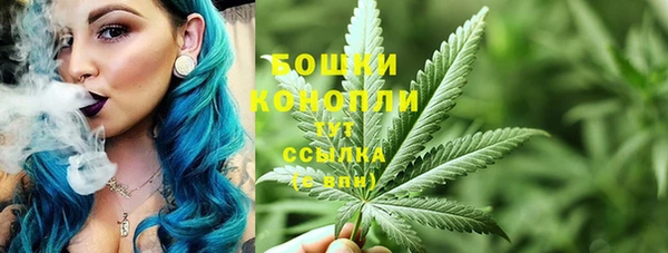 крисы Баксан