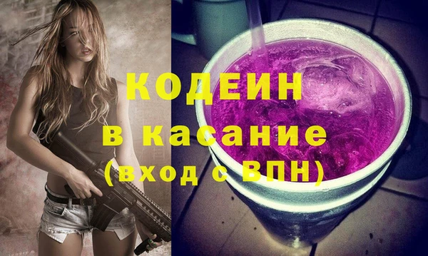крисы Баксан