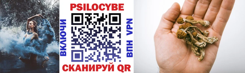 Галлюциногенные грибы ЛСД Поворино