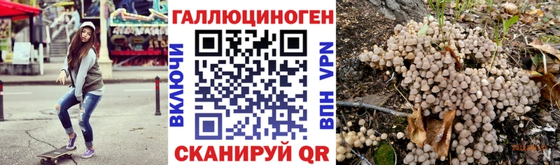 где купить наркоту  дарк нет официальный сайт  Галлюциногенные грибы мицелий  Поворино 
